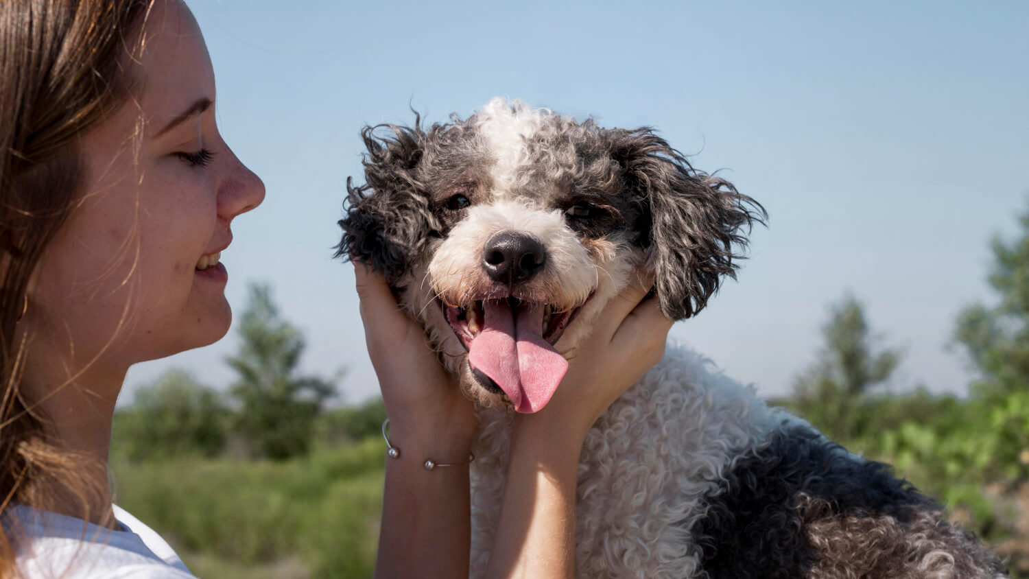 Keep Your Dogs Breath Fresh with Soft Chews