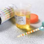  <strong>Passing the Drug Test with Fake Urine Kit </strong> 