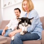 Pain of Dog: Common Symptoms & What Pet Parents Can Do